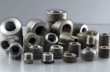 Stainless Steel Forged Fittings